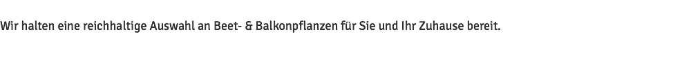 Wir halten eine reichhaltige Auswahl an Beet- & Balkonpflanzen für Sie und Ihr Zuhause bereit.